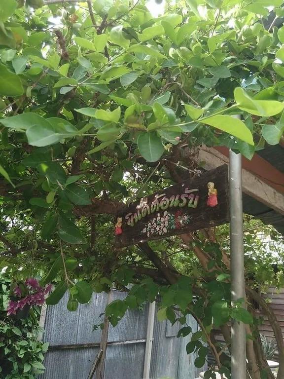Patchaya Guesthouse Amphawa Dış mekan fotoğraf