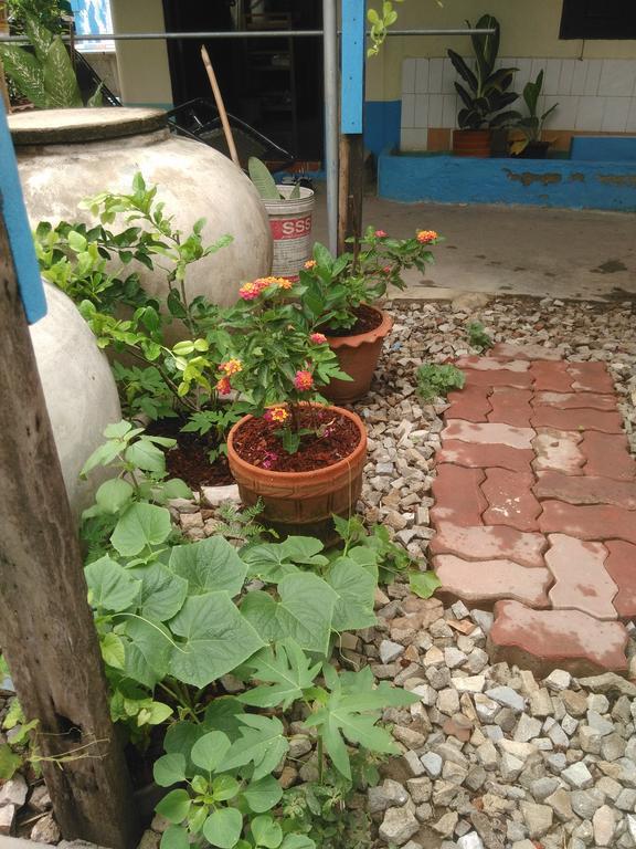 Patchaya Guesthouse Amphawa Dış mekan fotoğraf
